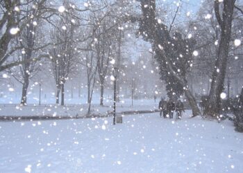 Cьогодні у Рівному буде сніжний день