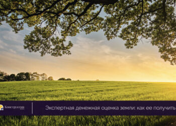 Экспертная денежная оценка земли: как ее получить — Новости Одессы
