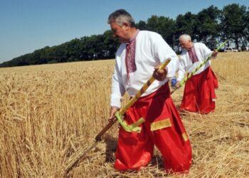 Кооперація може допомогти аграріям України, аби не «людський фактор» – Новини Кам’янське