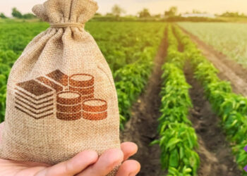 Кредити аграріям Кам’янського району пропонує влада – Новини Кам’янське