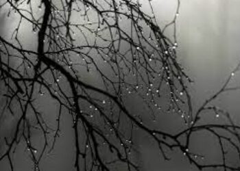 Погода у Кропивницькому 26 листопада