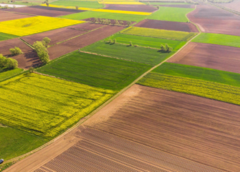 Про орендну плату за землю