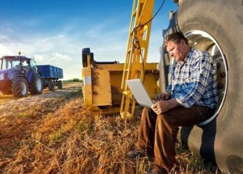 Проблеми зі збутом вирощеного врожаю мають майже 90% аграріїв Дніпропетровщини – Новини Кам’янське