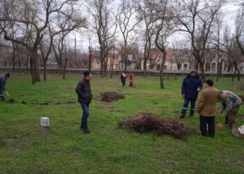 У парковому містечку ХДУ висадили близько 120 цибулин тюльпанів — Новини Херсонщіни