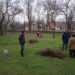 У парковому містечку ХДУ висадили близько 120 цибулин тюльпанів — Новини Херсонщіни