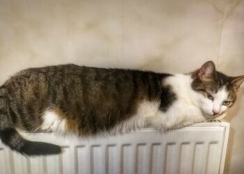 В Одесі відновлюють систему центрального опалення | Одеський Кур’єр