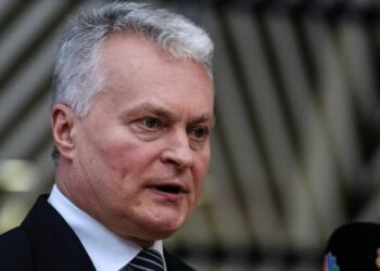 Важливо створити політичну перспективу для інтеграції України в НАТО — президент Литви | Новини Політики