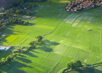 З 1 січня 2023 року запроваджується нова форма податкової декларації з плати за землю