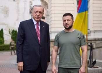 Зеленський обговорив з Ердоганом можливе розширення зернового коридору | Новини Політики