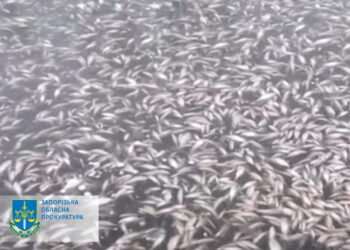 Екопрокуратура розпочала провадження щодо стану Дніпра | Новини Запоріжжя — кримінал