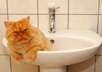 Два райони Одеси залишаться без води | Одеський Кур’єр