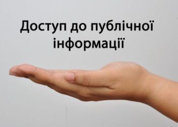 Які вимоги встановлено до оформлення запиту на отримання публічної інформації в податкових органах та терміни його розгляду?