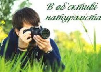 Найкращими натуралістами виявилися школярі Кіровоградщини