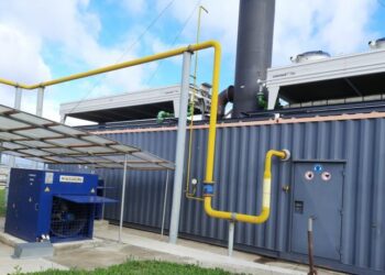 Особливості тимчасового спрощеного порядку зберігання пального для заправлення електрогенераторної установки