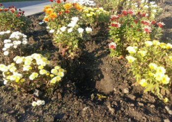 Про «своє» та чуже майно в Кам’янському та за його межами – Новини Кам’янське