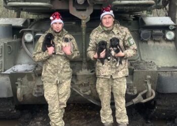 Що сталося на 319-ий день війни (ВІДЕО)