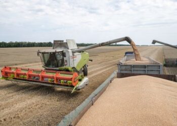 Що вирощуватимуть в Україні у 2023 році – Новини Кам’янське