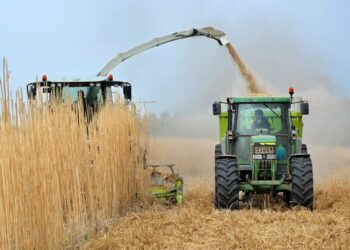 У фермерів Дніпропетровщини бракує грошей на «агрохімію» – Новини Кам’янське