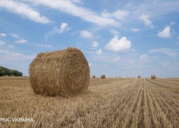 У Мінагрополітики назвали регіон України з найдорожчою землею – Новини Кам’янське