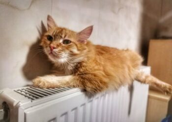 В Одесі відновлюють центральне опалення | Одеський Кур’єр