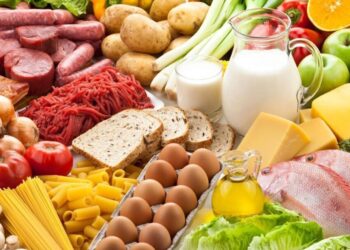 Власне перероблювання – майбутнє агросектору Дніпропетровщини – Новини Кам’янське