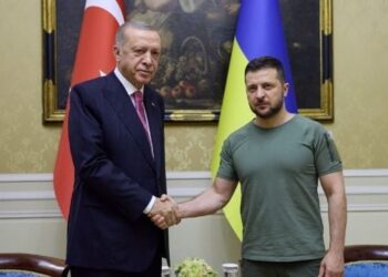 Зеленський провів переговори з Ердоганом 20 січня 2023 – про що говорили президенти | Новини Політики