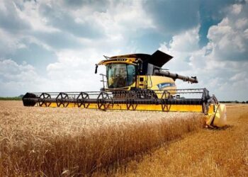 Через зменшення врожаю економіка України втратить 0,6% ВВП – Новини Кам’янське