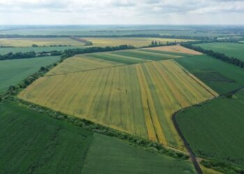 Чи звільняються суб’єкти господарювання-платники єдиного податку від сплати земельного податку?