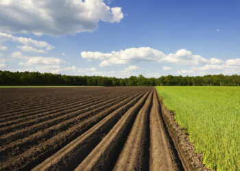 Експерти U-LEAD пояснили громадам алгоритм виділення паїв під час воєнного стану — Новини Херсонщіни