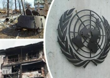 Генасамблея ООН готова підтримати резолюцію України щодо припинення війни | Новини Політики