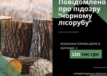 Кіровоградщина: Долинському «чорному» лісорубу повідомлено підозру