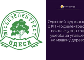 Одесский суд взыскал с КП «Горзелентрест» почти 245 000 грн. ущерба за упавшее на машину дерево — Новости Одессы