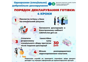 Одноразове добровільне декларування: порядок декларування готівки