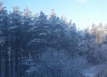 Прогноз погоди на 12 лютого: у Кропивницькому невеликий сніг і ожеледиця