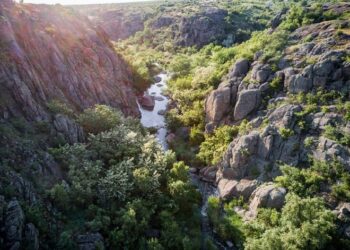 Прокуратура через суд вимагає повернути державі землі Національного природного парку «Бузький Гард» вартістю 148 млн грн — Новини Херсонщіни