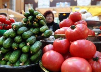 Чому в Україні дорожчають овочі – Новини Кам’янське