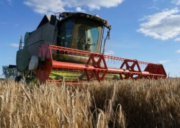 Цьогорічний врожай вдвічі перевищить потреби України в продовольстві – Новини Кам’янське