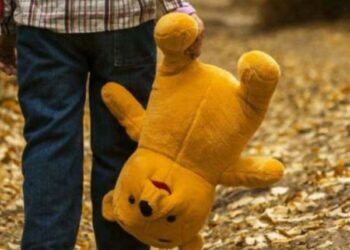 Кіровоградщина: У Світловодській ТГ вже цілу добу розшукують 2-річне маля