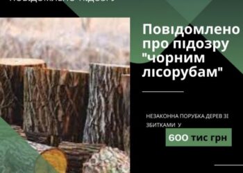 Кіровоградська спеціальна прокуратура нещадно бореться зі спилювачами дерев