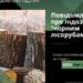 Кіровоградська спеціальна прокуратура нещадно бореться зі спилювачами дерев