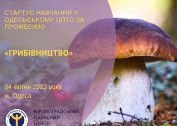 Кропивничанам у Центрі зайнятості пропонують опанувати грибівництво чи виноградарство