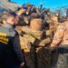 На Дніпропетровщині затримали злочинну групу лісорубів (Відео) – Новини Кам’янське