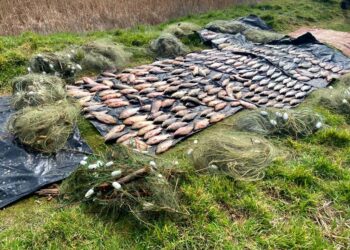 На Херсонщині водна поліція запобігла вилову водних біоресурсів на суму майже мільйон гривень — Новини Херсонщіни