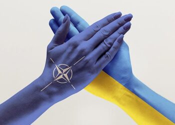 На саміті НАТО Україна хоче почути про час та умови вступу – нардеп Чернєв | Новини Політики