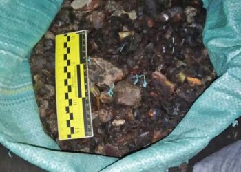 На Сарненщині арештовано 355 кг бурштину