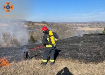 По всій Кіровоградщині екосистема страждає від підпалів сухостою