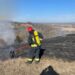 По всій Кіровоградщині екосистема страждає від підпалів сухостою