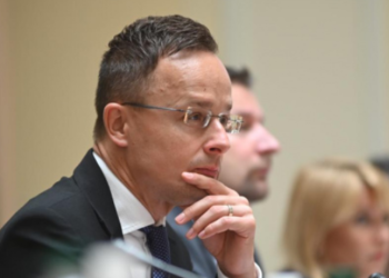 Подоляк назвав главу МЗС Угорщини Сіярто «адвокатом диявола» | Новини Політики