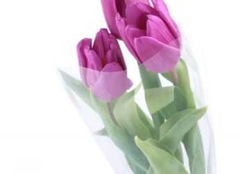 Рівнянка розкрила істинне значення та зміст 8 березня