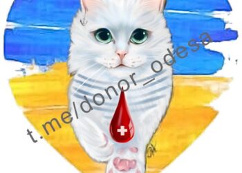 В Одесі є потреба в донорській крові | Одеський Кур’єр